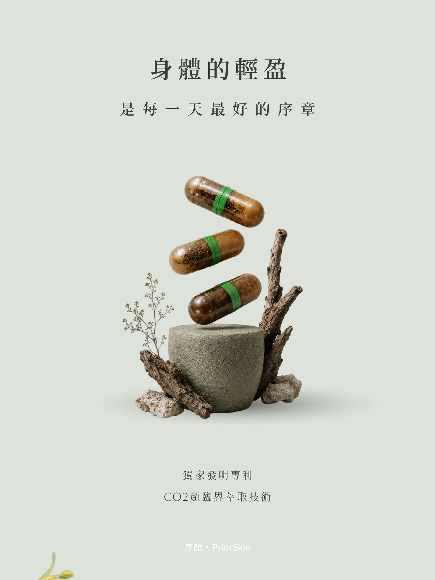平衡油萃膠囊｜序顏PriorSkin